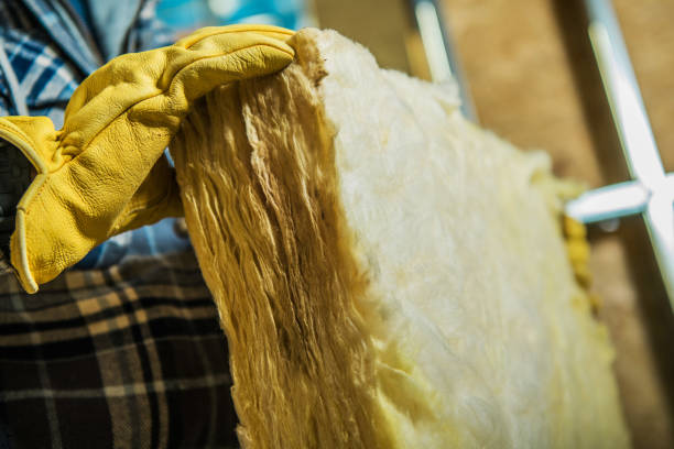 Best Geographic-Specific Insulation Services in Longview, WA